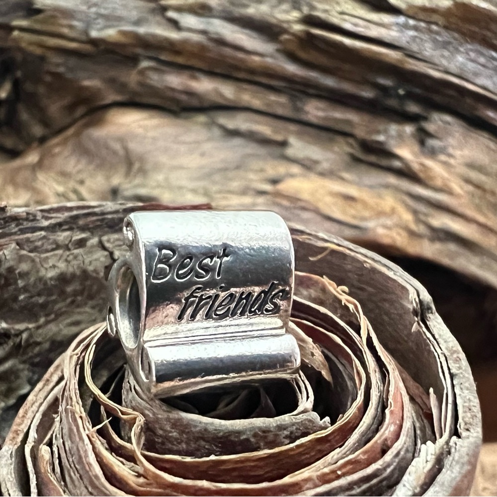 Authentic Pandora Charm Best Friends Scroll Bead
Silver Friendship Family